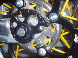 New Special Edition Snail Cams